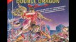 Double Dragon 2 - Boss music Theme nes
