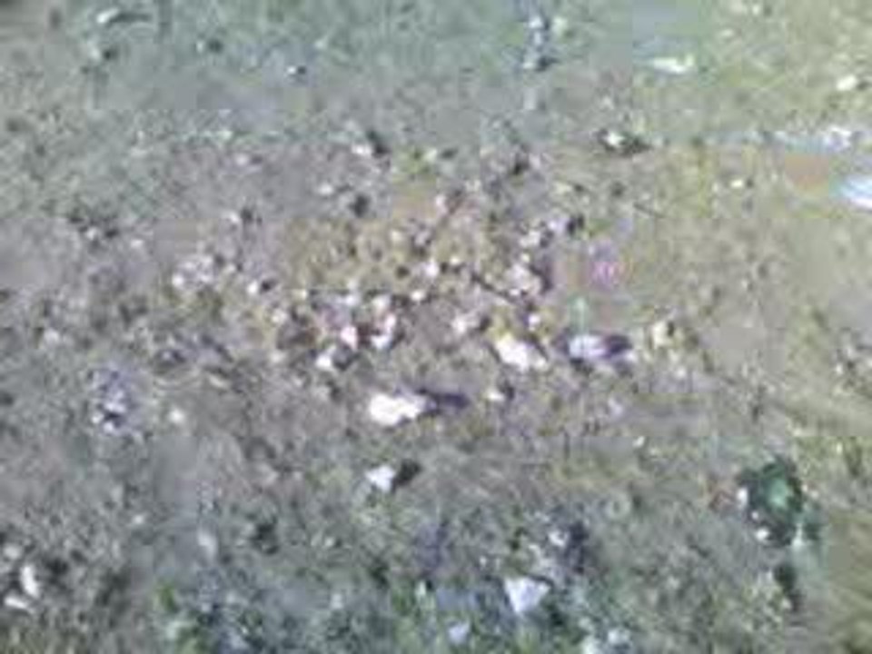 tekos bourges hardcore"e 2006