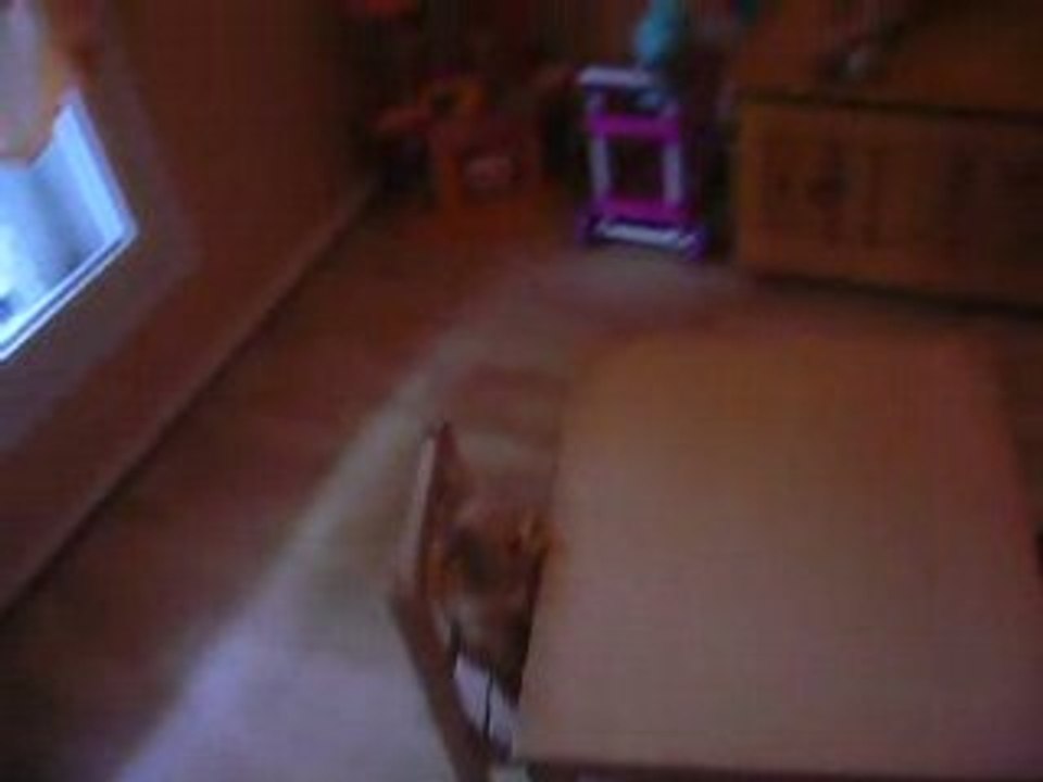 Chambre Maxime SEUL