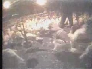 Turkey Farm Investigation