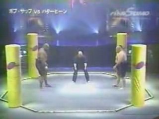 Bob sapp vs butterbean- sumo