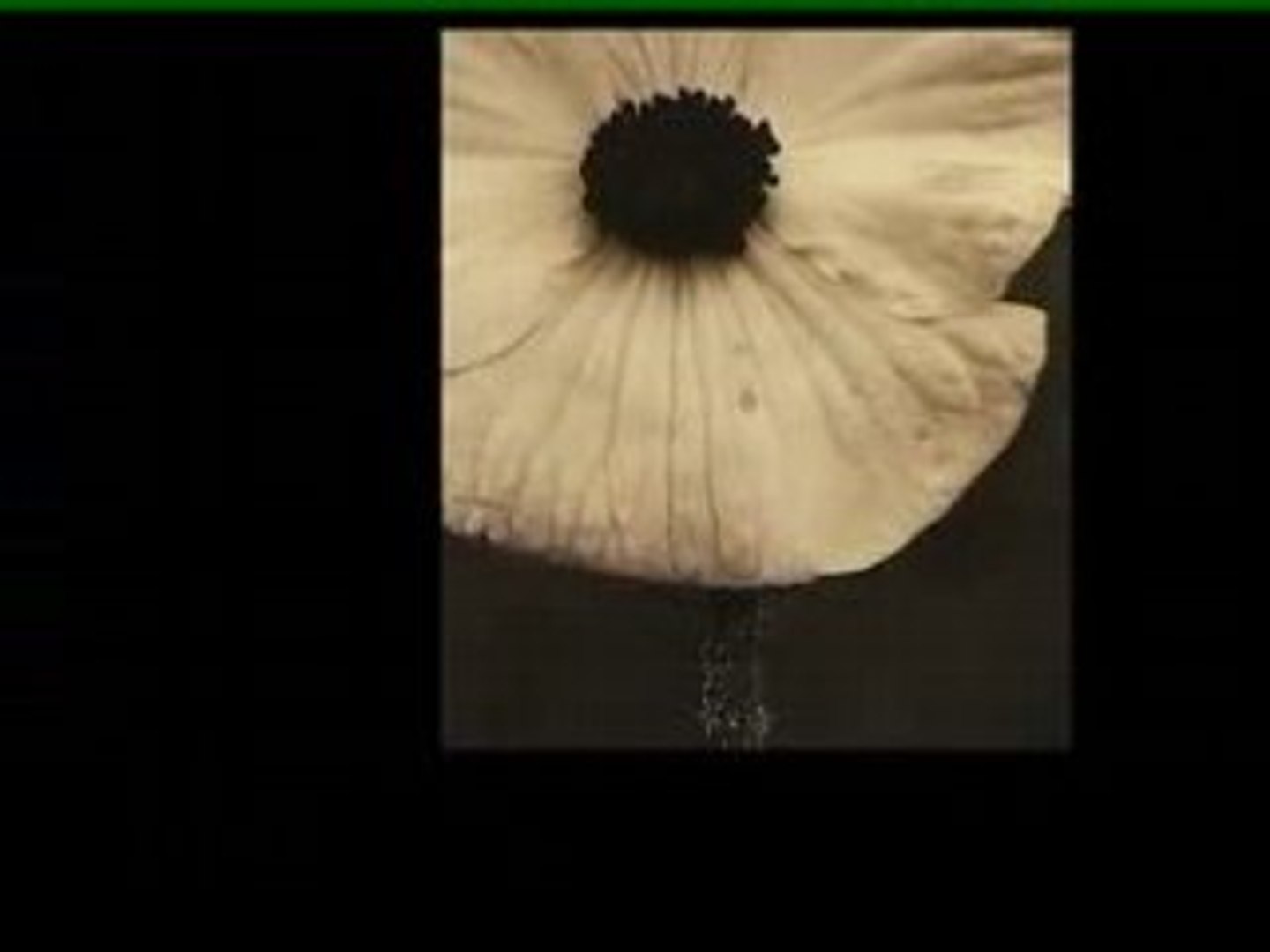 ⁣Neuro muscular discorder film n°1