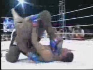 Minotauro vs bob sapp