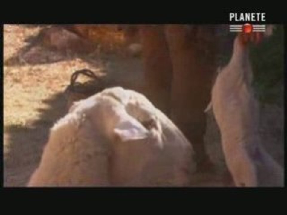 Les dossiers secrets de l'inquisition 1/5