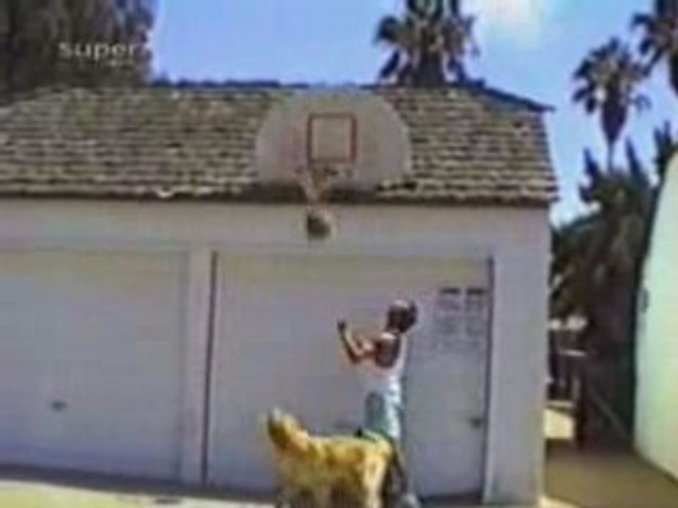 vidéo drole