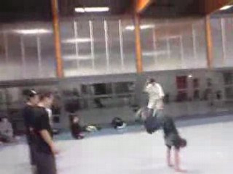 Made in hip hop 1