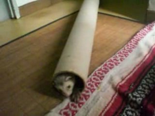 Mon fufu