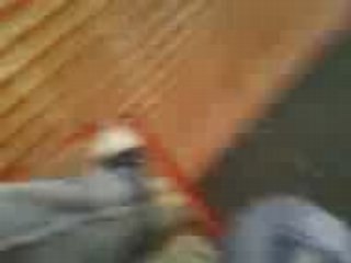 cadie milou & yonyon Boum