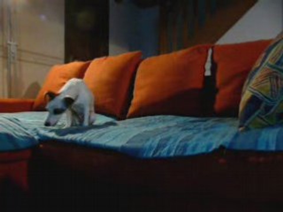 Daika donne la "papatte" !!