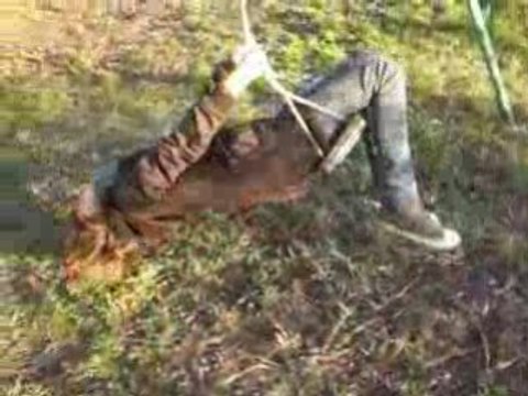 Soléne fait de la balancoir