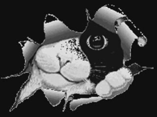 Grup Turku - Yarinimsin (siirli)