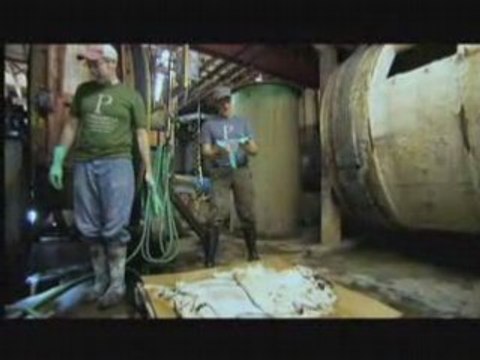 Dirty Jobs - Pelt Zits