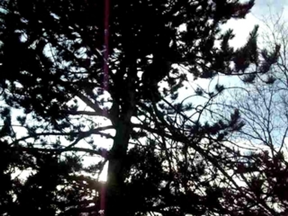 IMGP0179