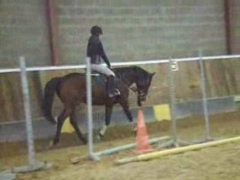 Nouky et moi ,rênes allemandes