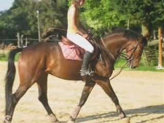 Kéké deviendra grand (montage / défi FFE)