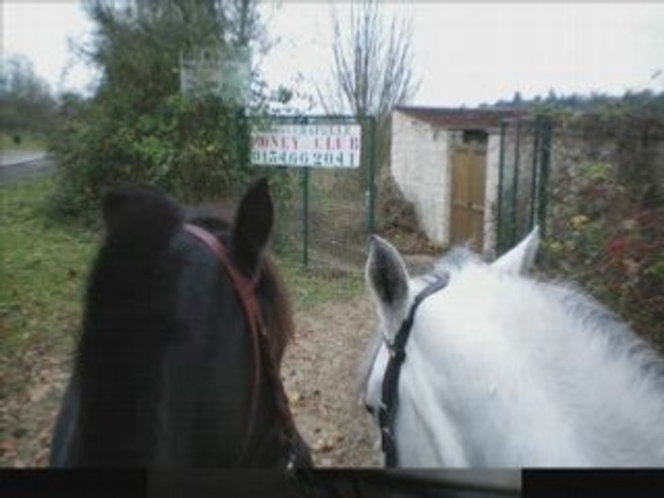 Balade du 20nov 2008