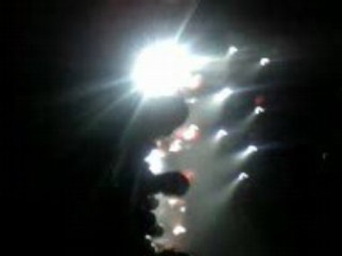 Dionysos marguerite amiens 2008