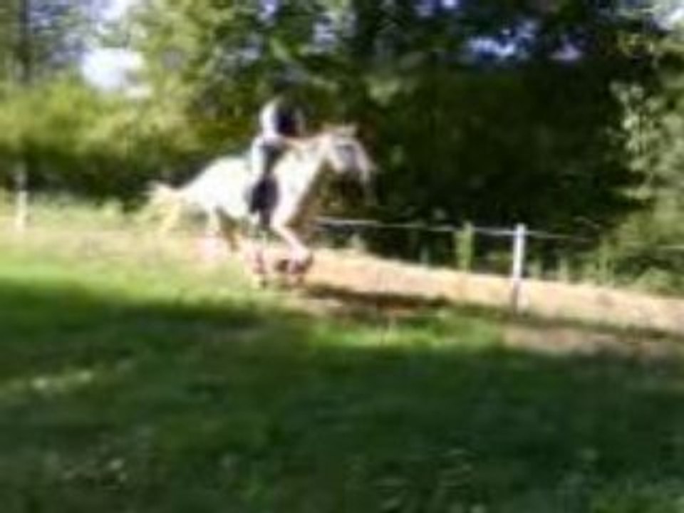 Moi cross 2