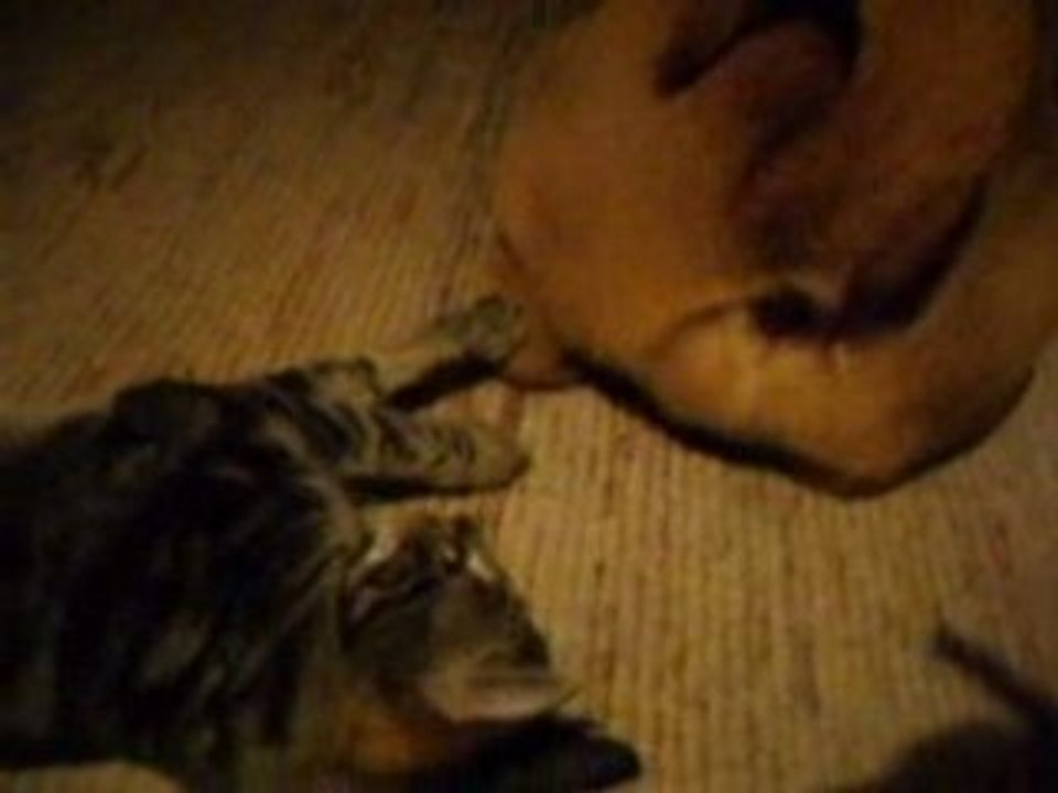 Zaza et son joujou ... Mumbaï!