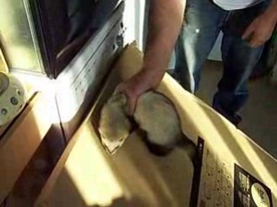 Didou et Diego en train de faire une partie de glissade mdr