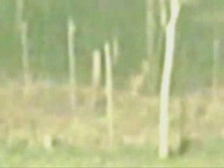 UFO  Alien compilation