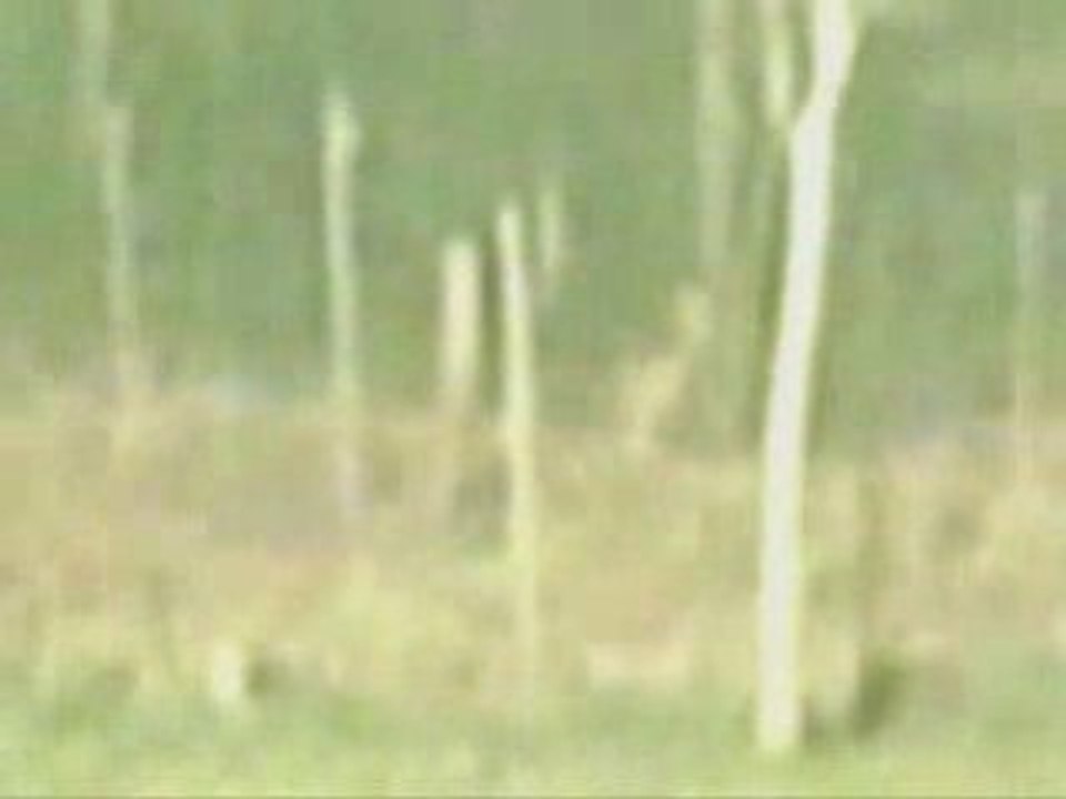 UFO  Alien compilation