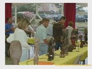 Exposition Africa Faugères du 11 au 14