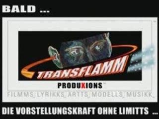 DRAGONMODELL-TRANSFLAMM TT10_ INTERNATIONALL