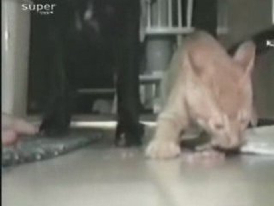 Concorso "Invia il tuo video, vinci Zelig e Normaderm"