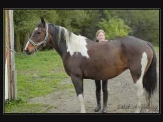 Novembre 2008 dadous gratouilles