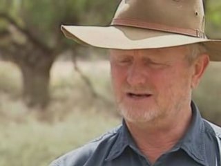 Is this the weirdest bird ever?