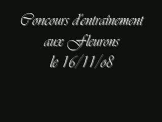 Concours d'entrainement aux fleurons le 16/11/08