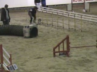 Toy Story Blendecques 2008