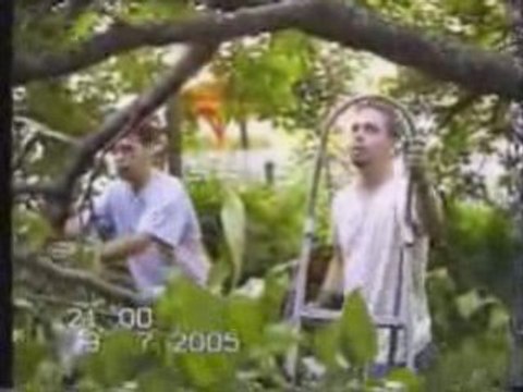 FUN - Les 1001 travaux de Regis - Bucheron