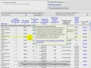 Services Referencement Professionnel-