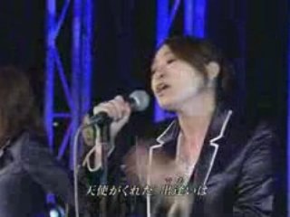 [LIVE] SPEED - White Love [081114 恋うた]