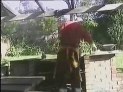 FUN-Régis fait un barbecue