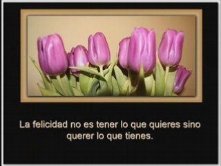 Silver Strand - The Corrs