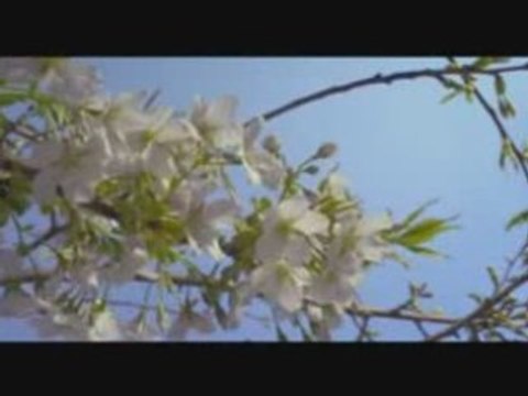 Anasheed soubhanALLAH!!!!!