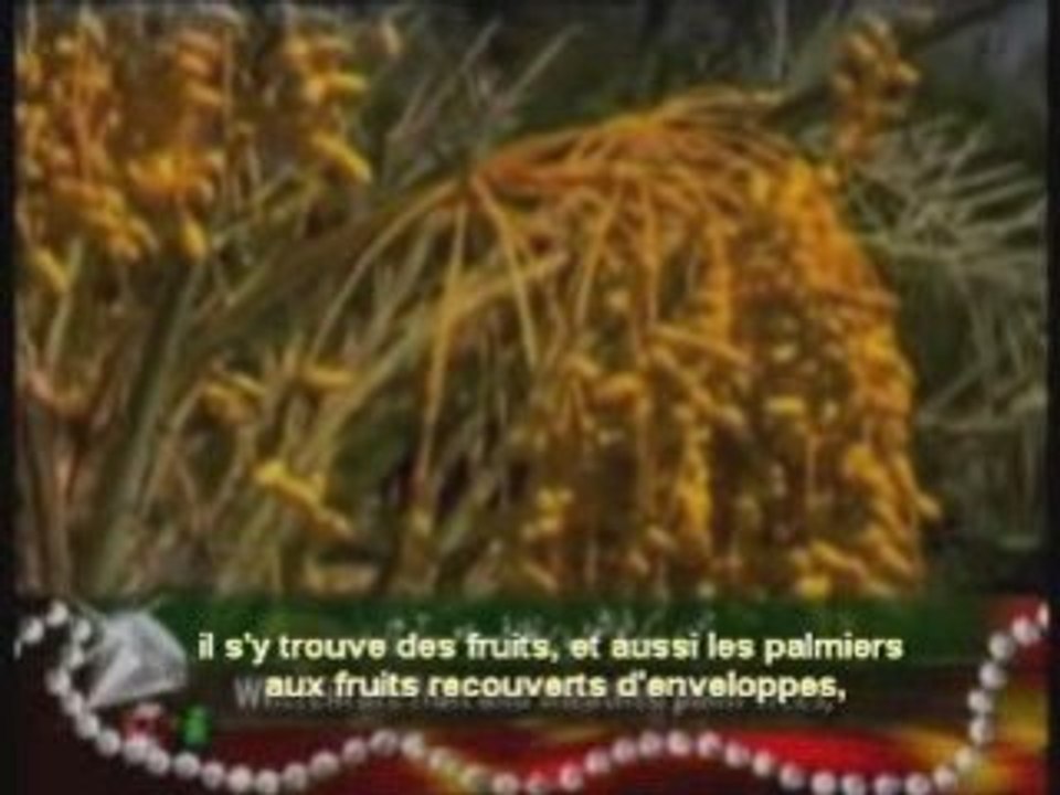 SOURATE 55 AR RAHMAN: LE TOUT MISERICORDIEUX