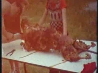 F19 1973 mariage sylviane et michel montage