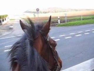 Balade 23-10 Hardi 017