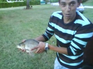 Peche carpe