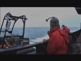 Whale Wars - Sneak Attack