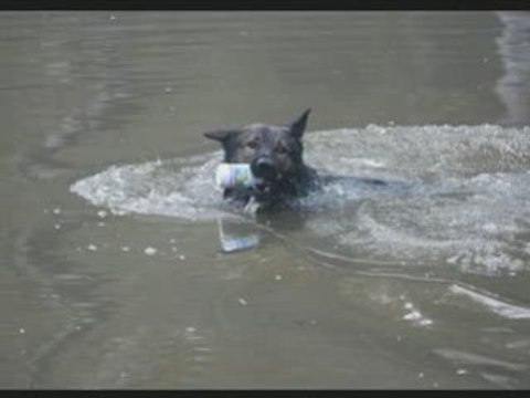 Campagne - Vikasch à Villers Saint Paul