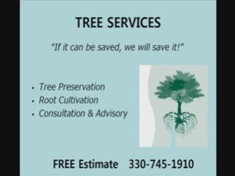 Pest Control in Barberton, Oh