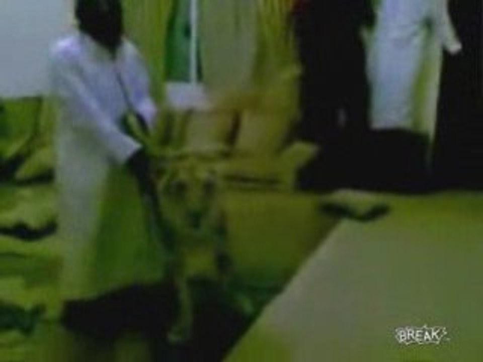 خليجي يمازح اصدقائه بأسد!!!