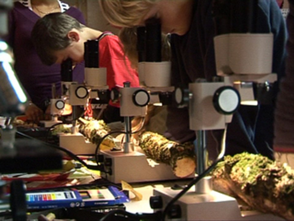 TULLE FETE DE LA SCIENCE 2008