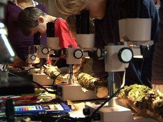 TULLE FETE DE LA SCIENCE 2008