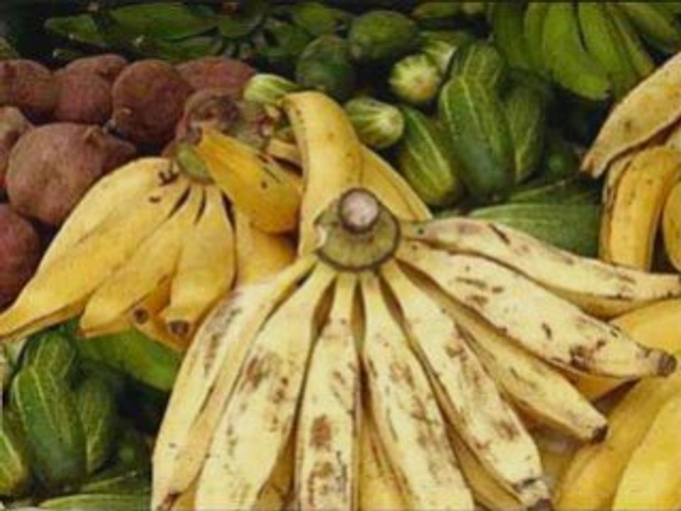 vidéo martinique